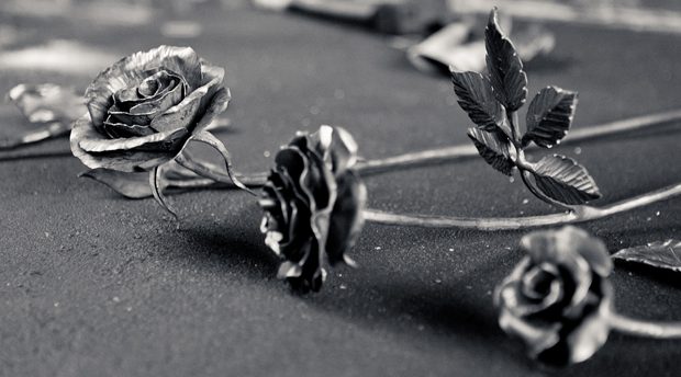 roses_dacier